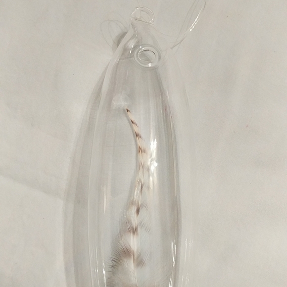 Roost feather in glass - Picture 4 of 4